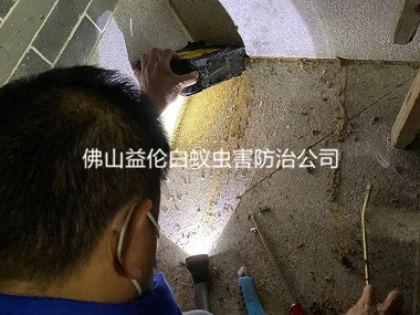 禪城祠堂房屋白蟻防治