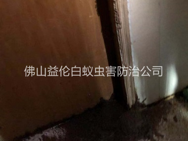 順德倉(cāng)庫蟻害防治